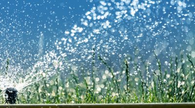 Sprinkler Blowout
