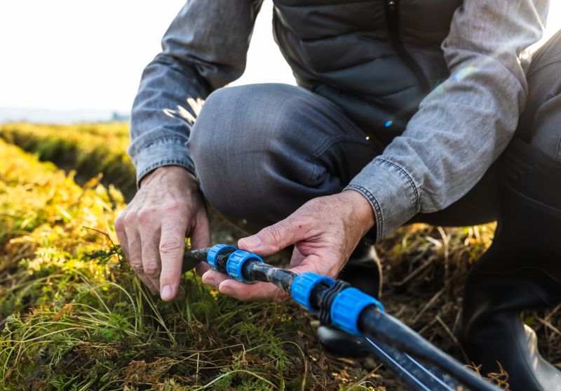 Plant Irrigation Installation in Ventura County, CA