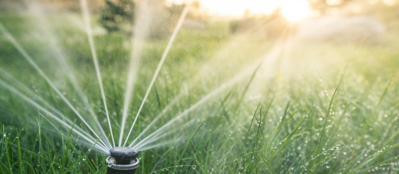 Sprinkler Blowout Cost Guide — Cost of Sprinkler Blowout