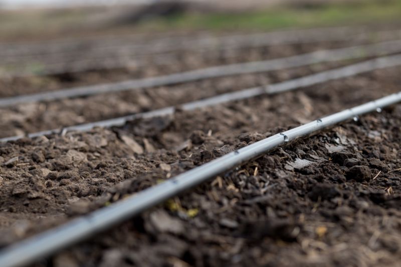 Yard Irrigation Installation in Ventura County, CA